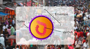 দেশে প্রথমবার ৫ জনের শরীরে রিওভাইরাস শনাক্ত! কতটা ভয়ংকর এটি?