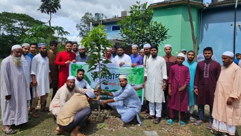 নন্দীগ্রামে প্রত্যাশা ফাউন্ডেশনের সপ্তাব্যাপী বৃক্ষরোপণ কর্মসূচী পালন