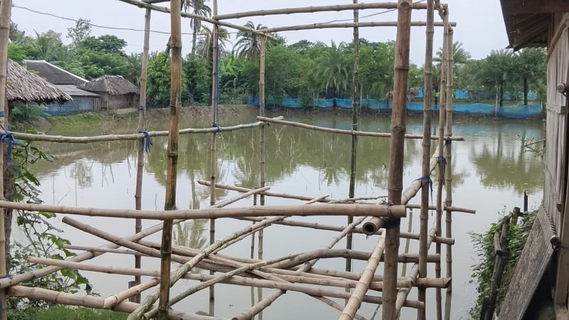 আশাশুনির প্রতাপনগরে সরকারি খাস জমিতে অবৈধভাবে দোকান ঘর নির্মাণের অভিযোগ