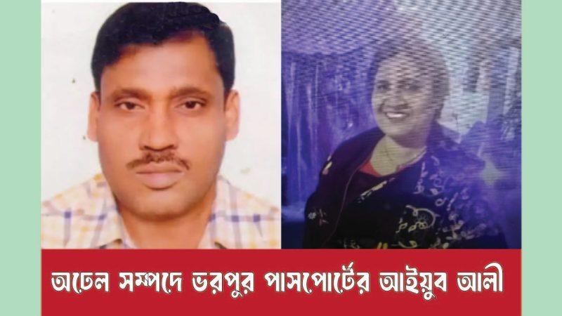 অঢেল সম্পদে ভরপুর পাসপোর্টের আইয়ুব আলী