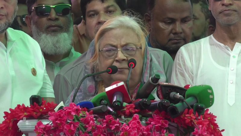 চব্বিশের চেতনার কথা বলে নির্বাচন বানচালের চেষ্টা চলছে: সেলিমা রহমান