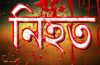 নরসিংদীর আলমবালিতে আধিপত্য বিস্তার নিয়ে নিহত-১