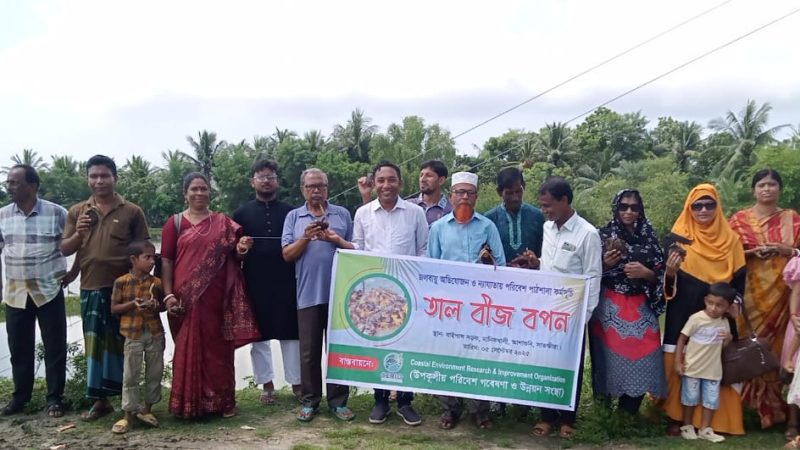 আশাশুনি বাইপাস সড়কে তাল বীজ বপন উদ্ভোধন