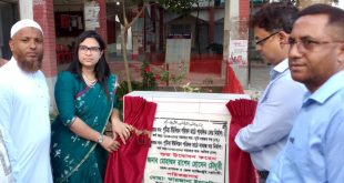 নরসিংদীর শিবপুর পুটিয়ায় উন্নয়ন মূলক কাজের শুভ উদ্বোধন করেন জেলা প্রশাসক