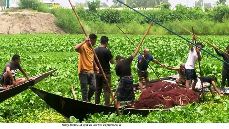 মির্জাপুরে পানিতে ডুবে নিখোঁজ ব্যবসায়ী খোঁজ মেলেনি 