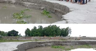 চিলমারীতে ব্রহ্মপুত্র নদের ভাঙন, হুমকিতে বেরিবাঁধসহ এলাকাবাসী 