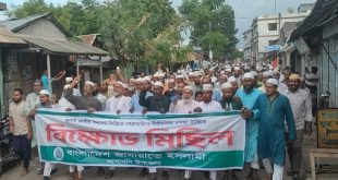 আশাশুনিতে ৫ দফা দাবীতে জামায়াতের বিশাল বিক্ষোভ মিছিল ও সমাবেশ অনুষ্ঠিত